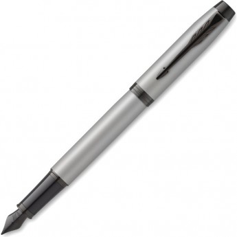 Ручка перьевая PARKER IM ACHROMATIC MATTE GRAY BT Ручка перьевая PARKER IM ACHROMATIC MATTE GRAY BT